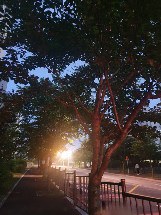 Moment of Nightwalk.
