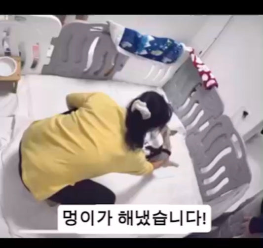 🐶💩 "Perfect Goal-In!" 🎉