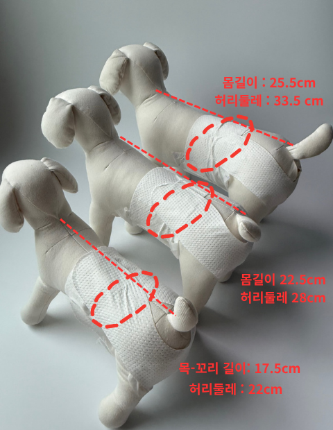 🐾 mynoopy Modular Diaper (2nd Gen) for XS/S size