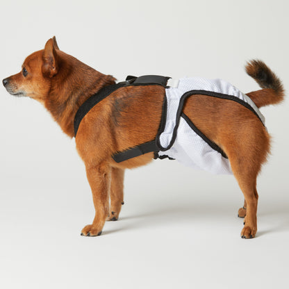 mynoopy ultimate poop diaper for Aging & Special-Needs Dogs  1 set