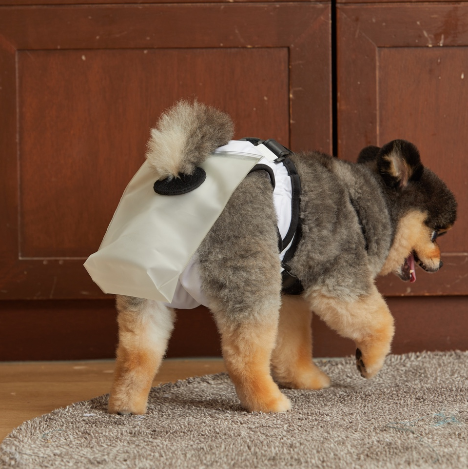 mynoopy ultimate poop diaper for Aging & Special-Needs Dogs  1 set
