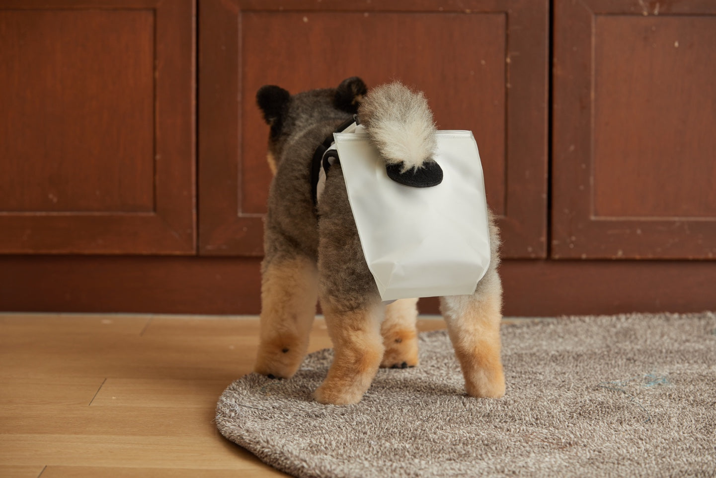 mynoopy ultimate poop diaper for Aging & Special-Needs Dogs  1 set