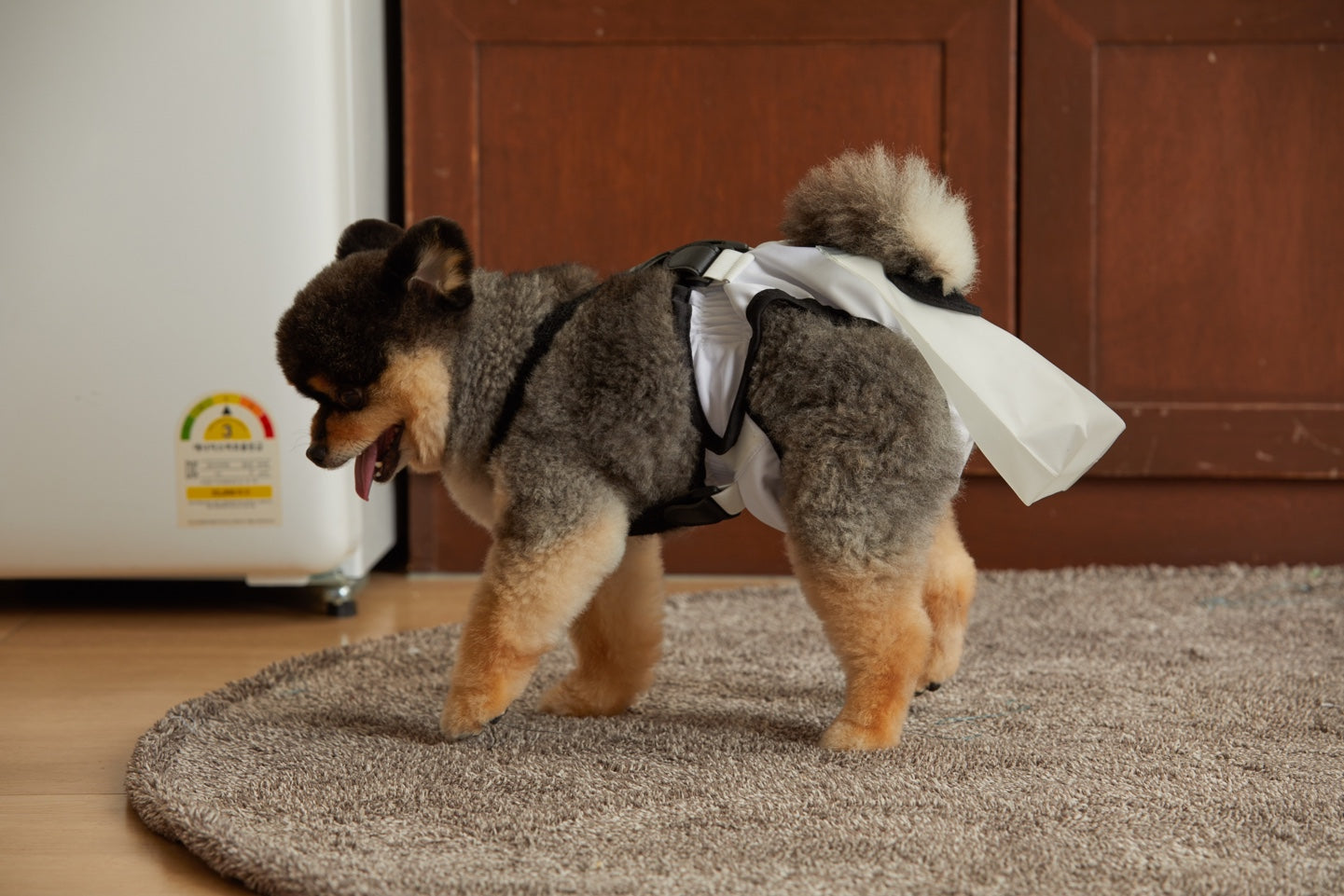 mynoopy ultimate poop diaper for Aging & Special-Needs Dogs  1 set
