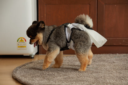 mynoopy ultimate poop diaper for Aging & Special-Needs Dogs  1 set