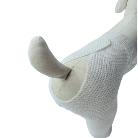 🐾 mynoopy Modular Diaper (2nd Gen) for XS/S size -  Disposable type