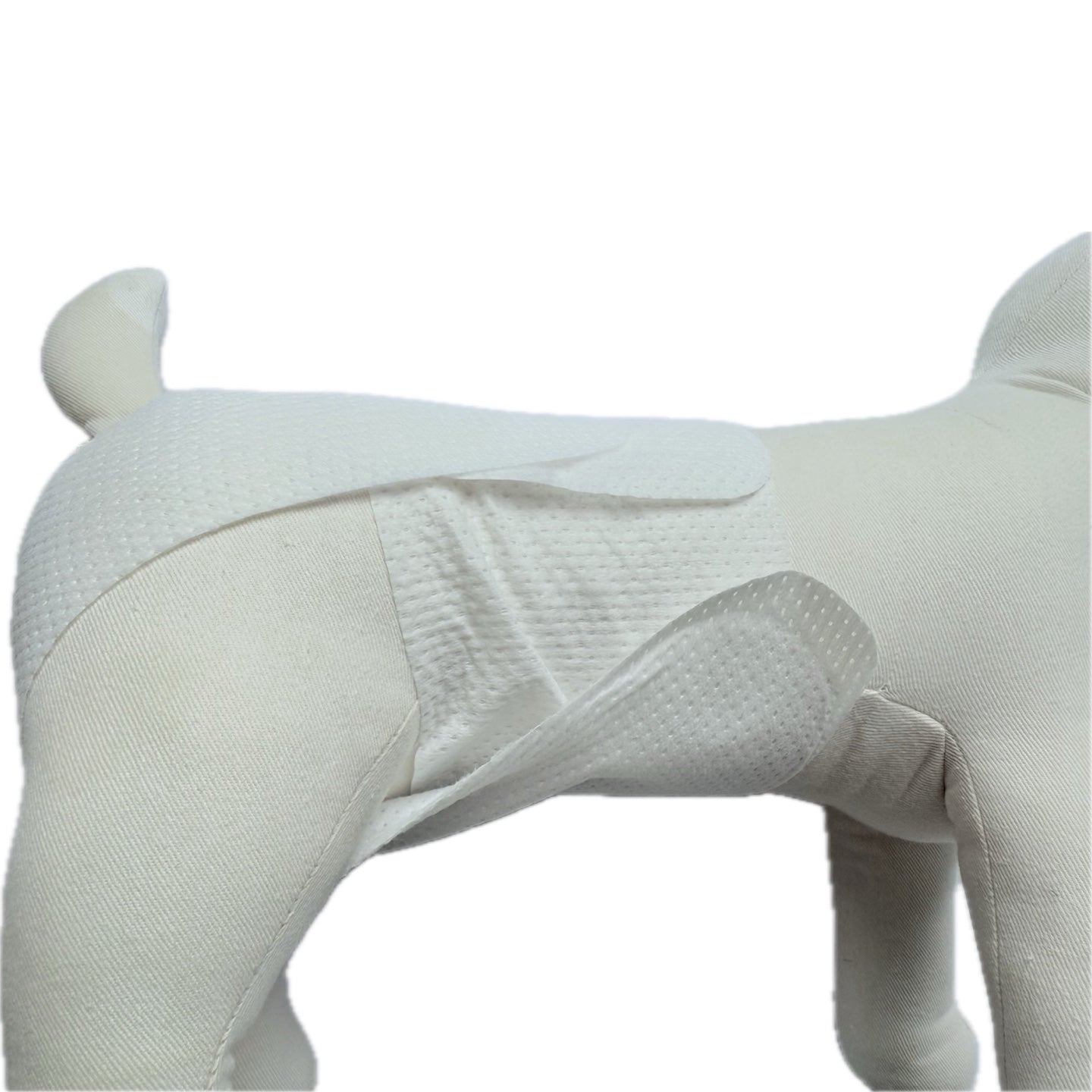 🐾 mynoopy Modular Diaper (2nd Gen) for XS/S size -  Disposable type