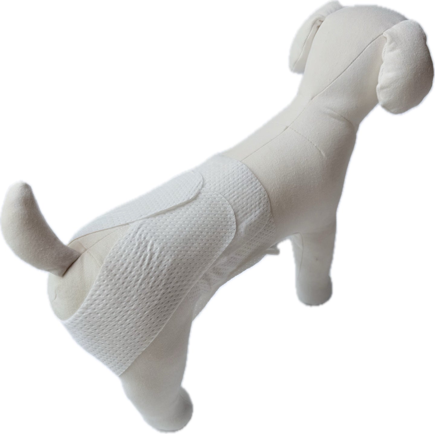 🐾 mynoopy Modular Diaper (2nd Gen) for XS/S size -  Disposable type