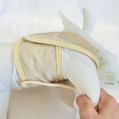 🐾 mynoopy Modular Diaper (2nd Gen) for XS/S size