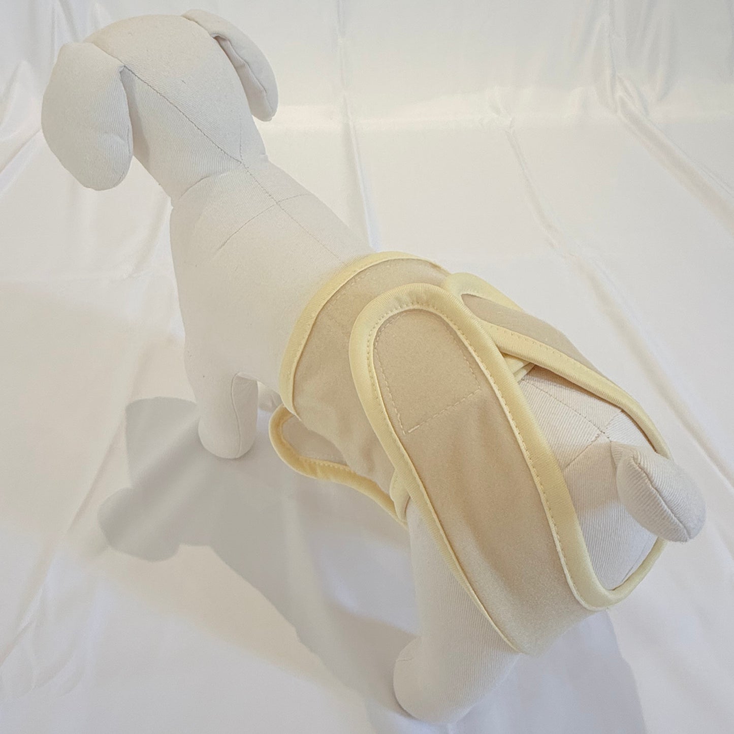 🐾 mynoopy Modular Diaper (2nd Gen) for XS/S size