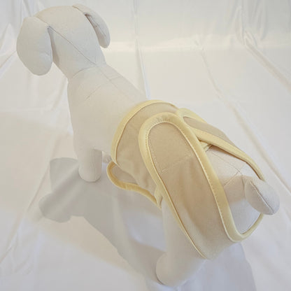 🐾 mynoopy Modular Diaper (2nd Gen) for XS/S size