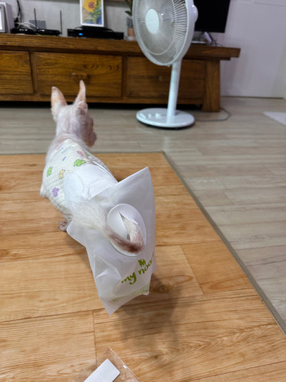 🐾 mynoopy Modular Diaper (2nd Gen) for XS/S size