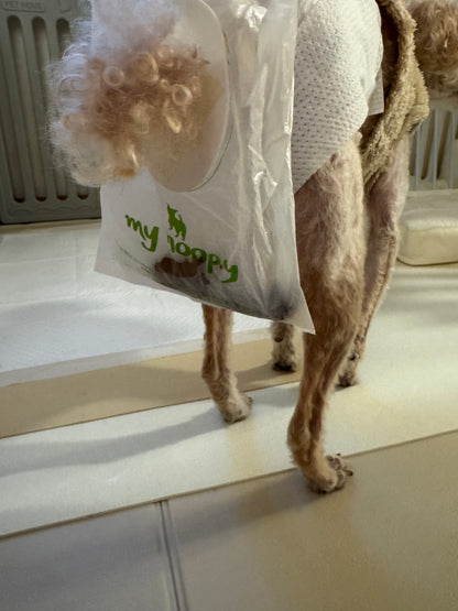 🐾 mynoopy Modular Diaper (2nd Gen) for XS/S size