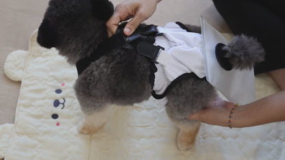 mynoopy ultimate poop diaper for Aging & Special-Needs Dogs  1 set
